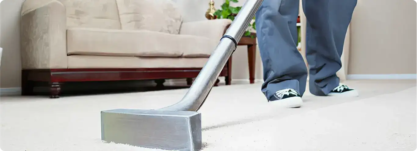 Carpet cleaning technician using a hot-water extraction wand on a light-colored carpet in a living room, Sarasota, FL.