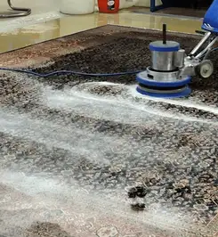 Professional rug cleaning with a rotary floor machine and shampoo foam, deep-cleaning an area rug Sarasota, FL.